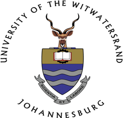 维斯大学队徽