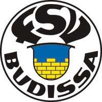 巴迪莎队徽
